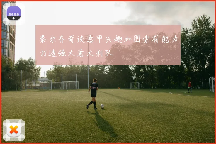 泰尔齐奇谈意甲兴趣加图索有能力打造强大意大利队