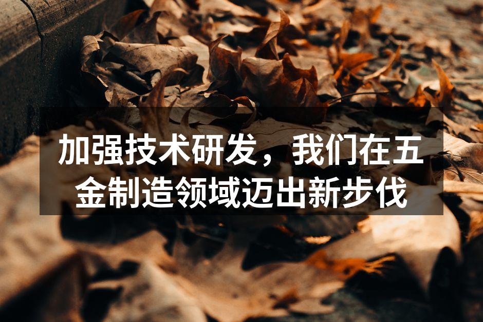 加强技术研发，我们在五金制造领域迈出新步伐